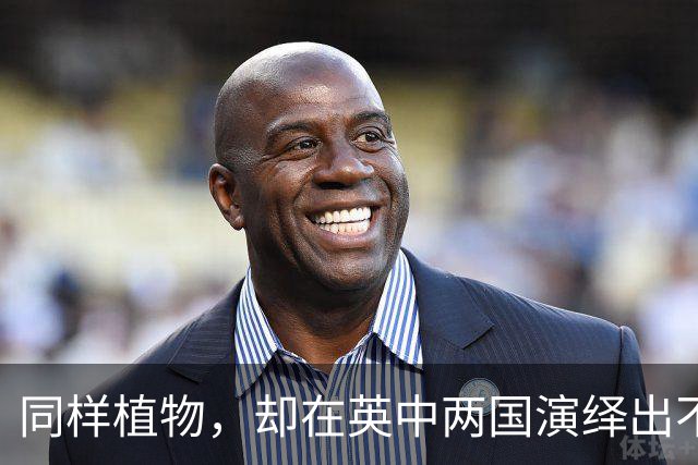 同样植物，却在英中两国演绎出不同命运的虎杖