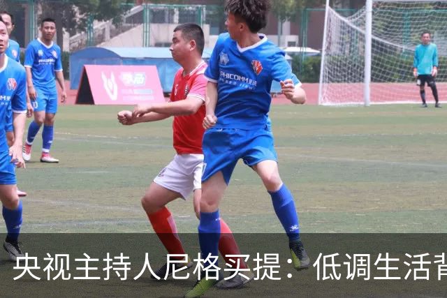 央视主持人尼格买提：低调生活背后的不凡财富
